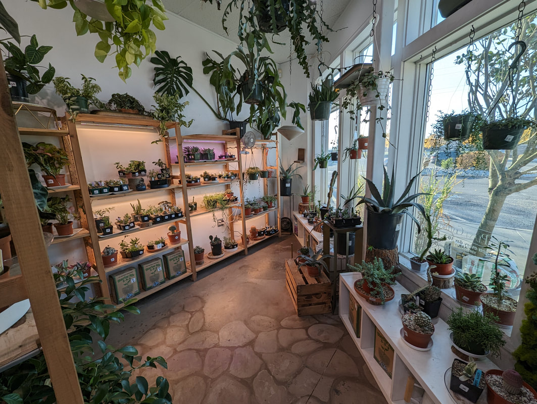 Our Classes are hosted at the plant gallery. Photographed here.Picture