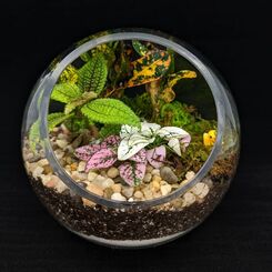 Globe terrarium created in our globe terrarium class in denver