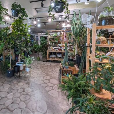 Our class space in Centennial where we teach Terrarium Workshops and other plant classes